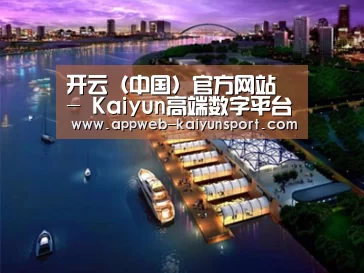 案例展示八