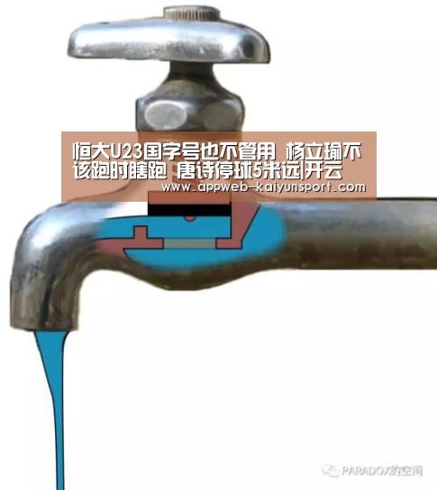 恒大U23国字号也不管用 杨立瑜不该跑时瞎跑 唐诗停球5米远|开云 (图1) 开云