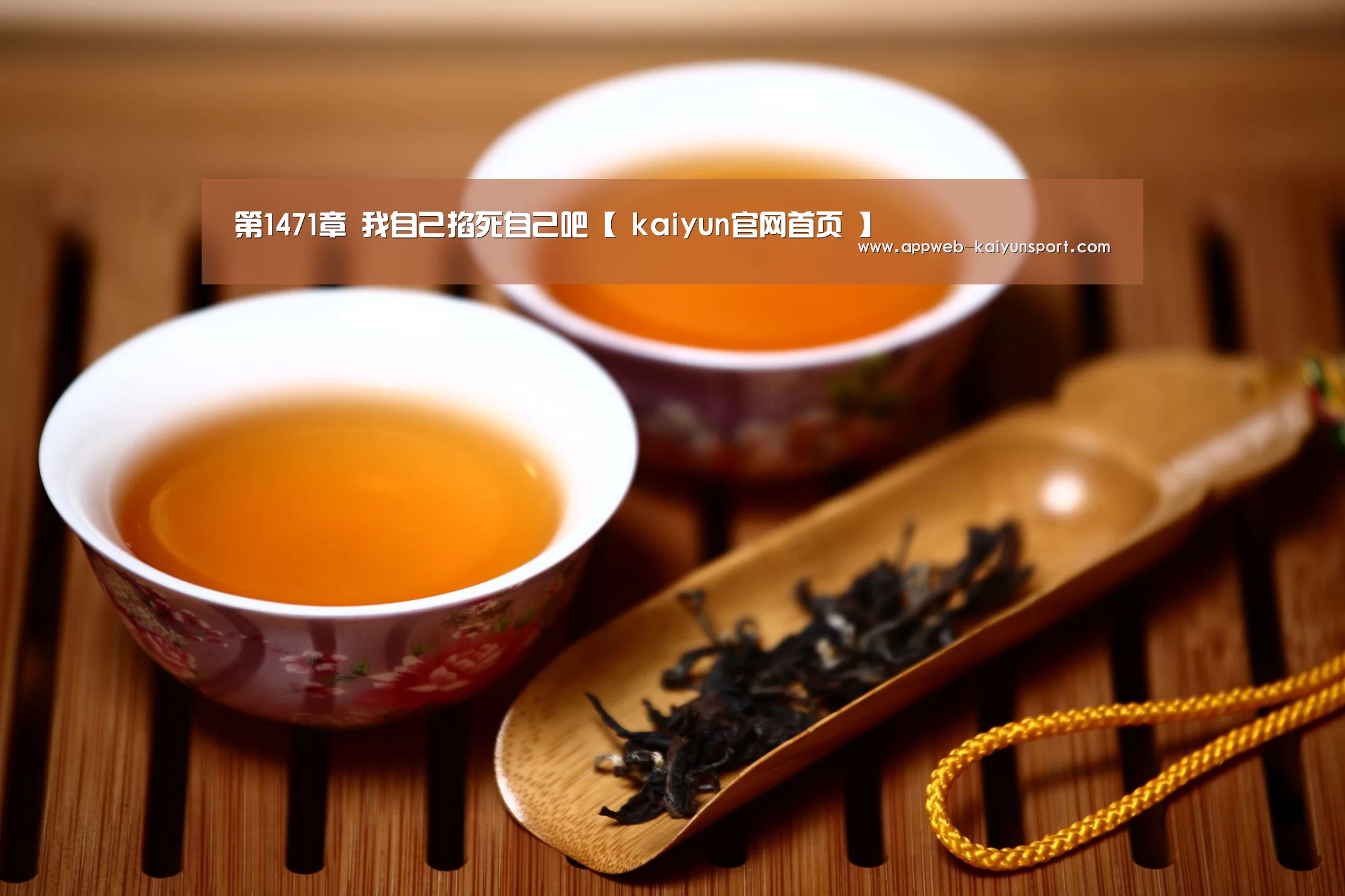  即时比分入口
