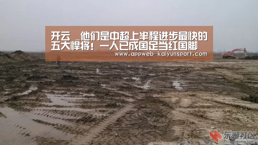 开云 _他们是中超上半程进步最快的五大悍将!一人已成国足当红国脚(图2) kaiyun官网首页